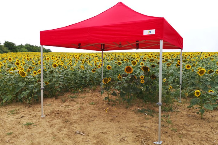 Werbe-Partyzelt 3m*3m